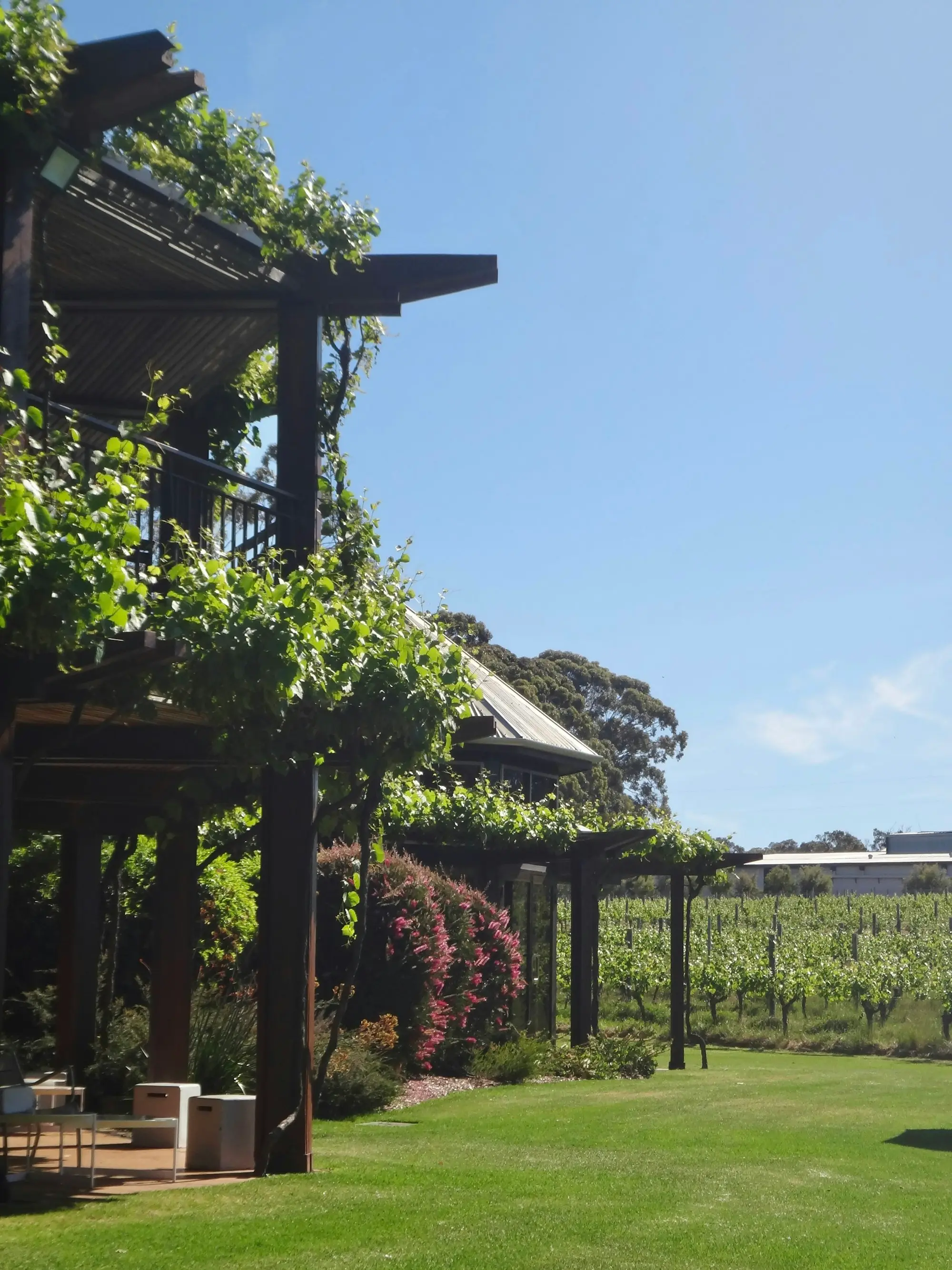 Winery restaurant beside vines in Margaret River, Western Australia