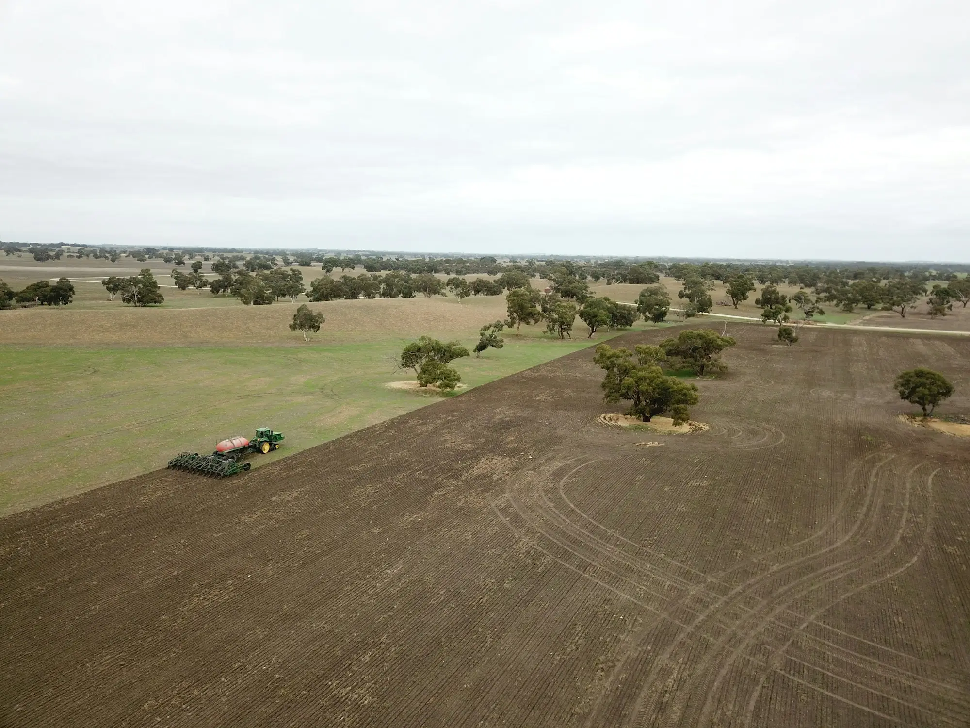 Tractor working a broad paddock dotted with gum trees near Wagga Wagga